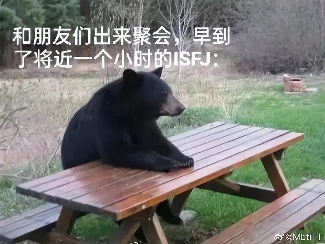 MBTI人格测试正式版（如何通过MBTI了解自己的真实性格）