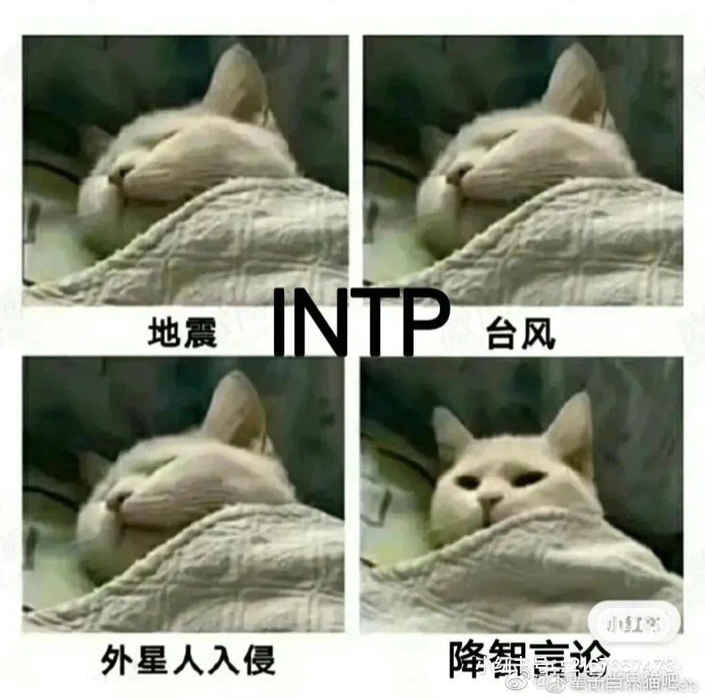 MBTI人格测试正式版（如何通过MBTI了解自己的真实性格）