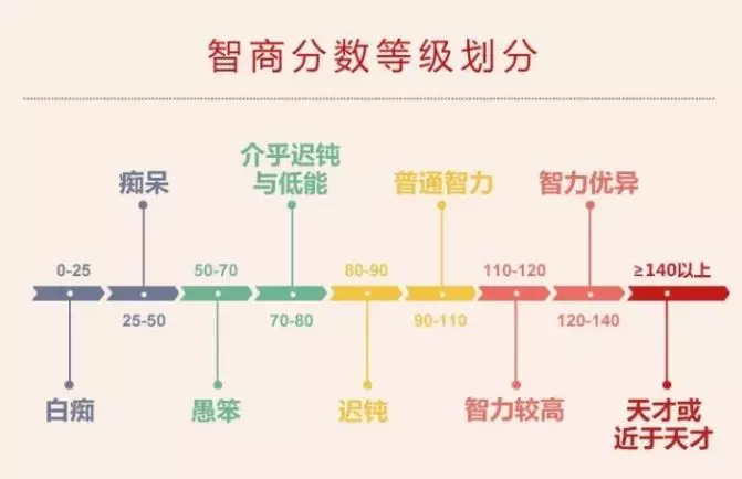 智商测试到底测什么？（无数人测过的智商测试来了）