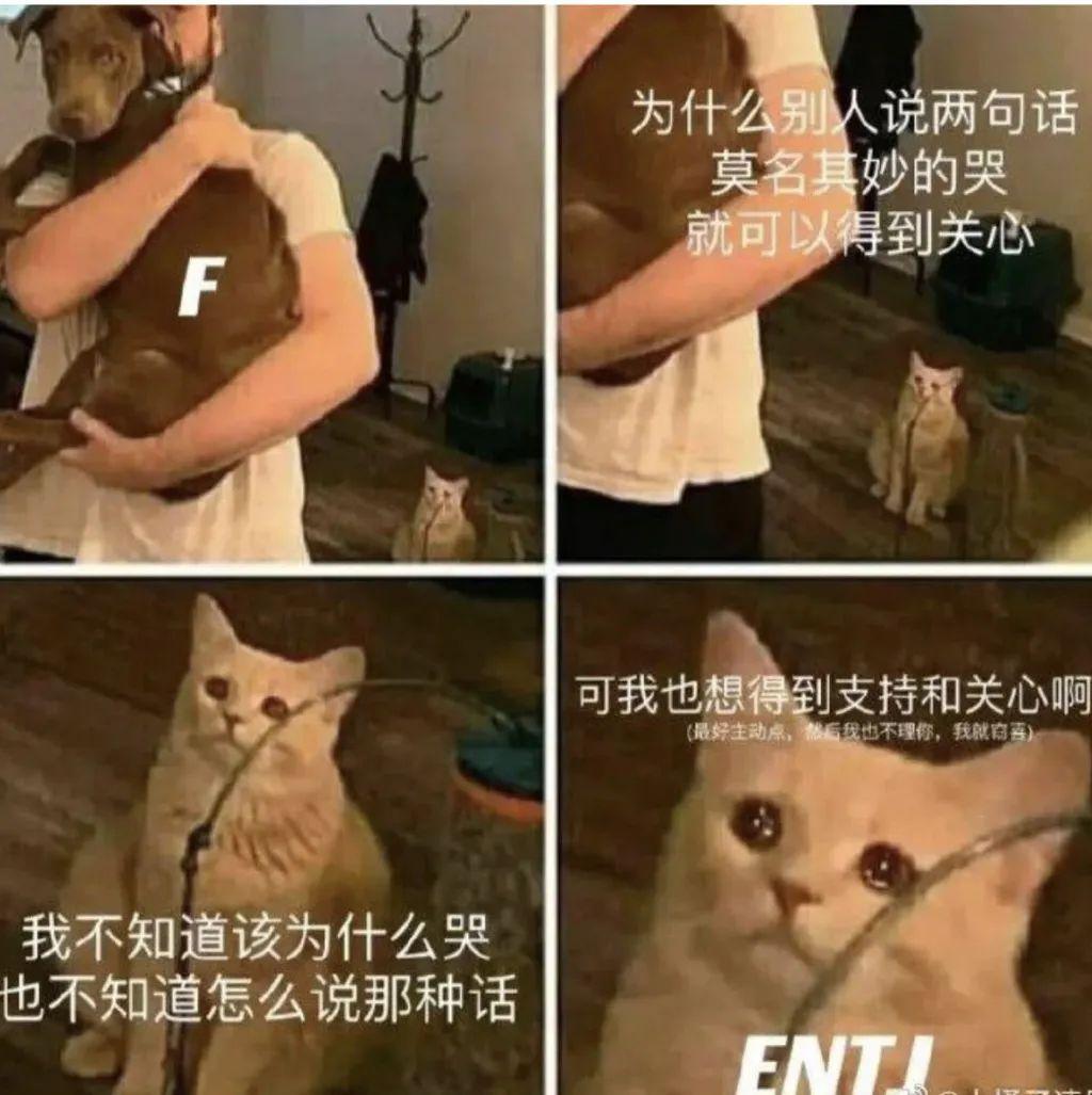 MBTI人格测试入口（国际官方MBTI人格测试）