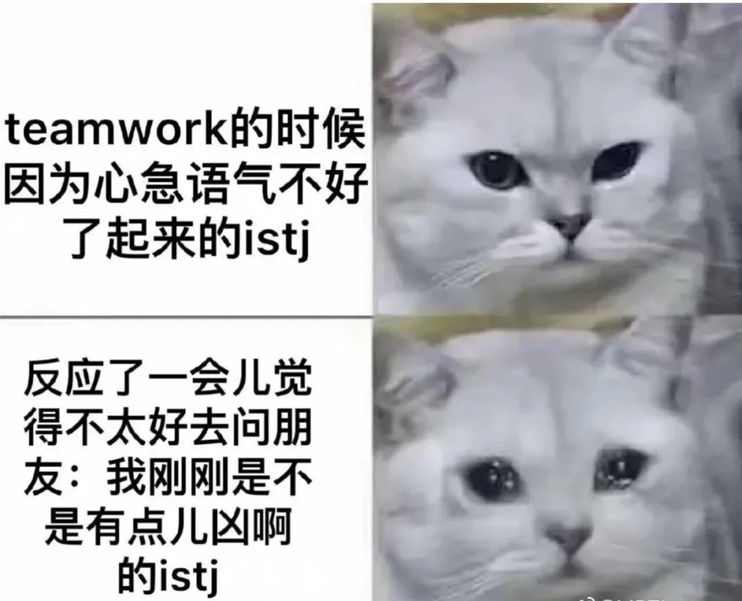 MBTI人格测试入口（国际官方MBTI人格测试）