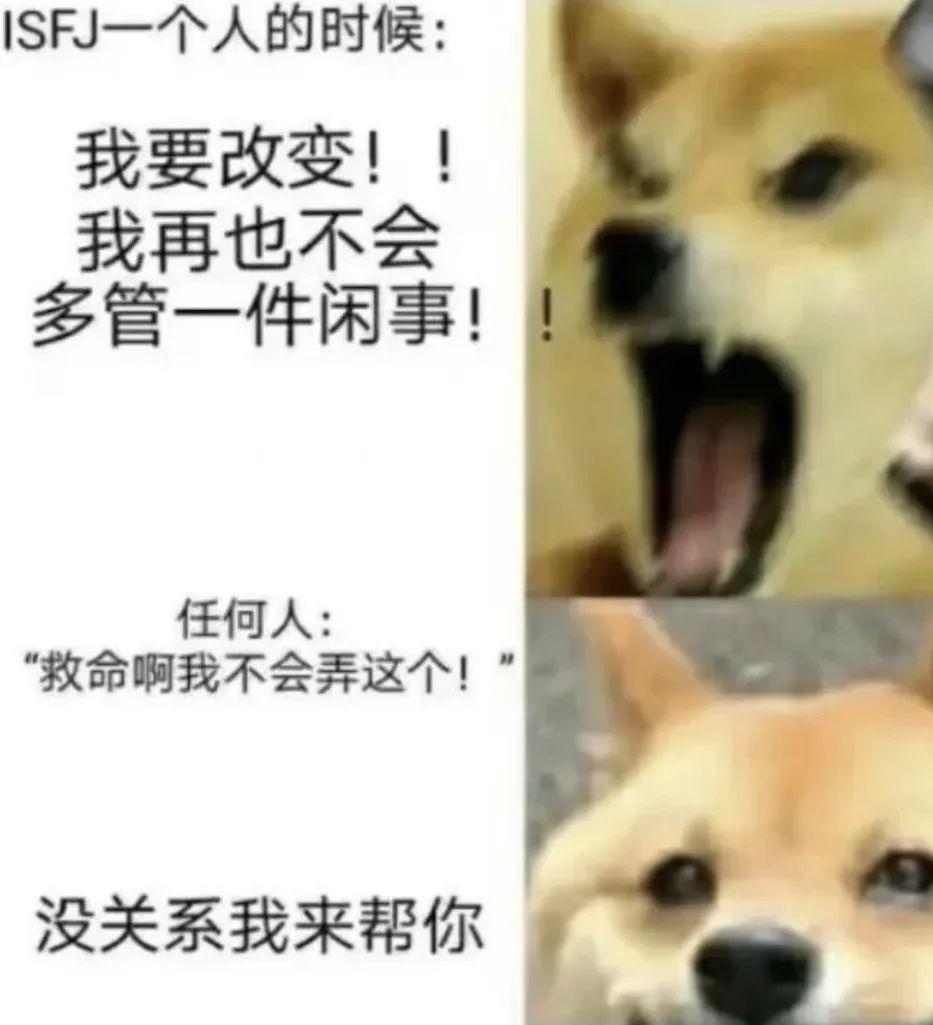 MBTI人格测试入口（国际官方MBTI人格测试）