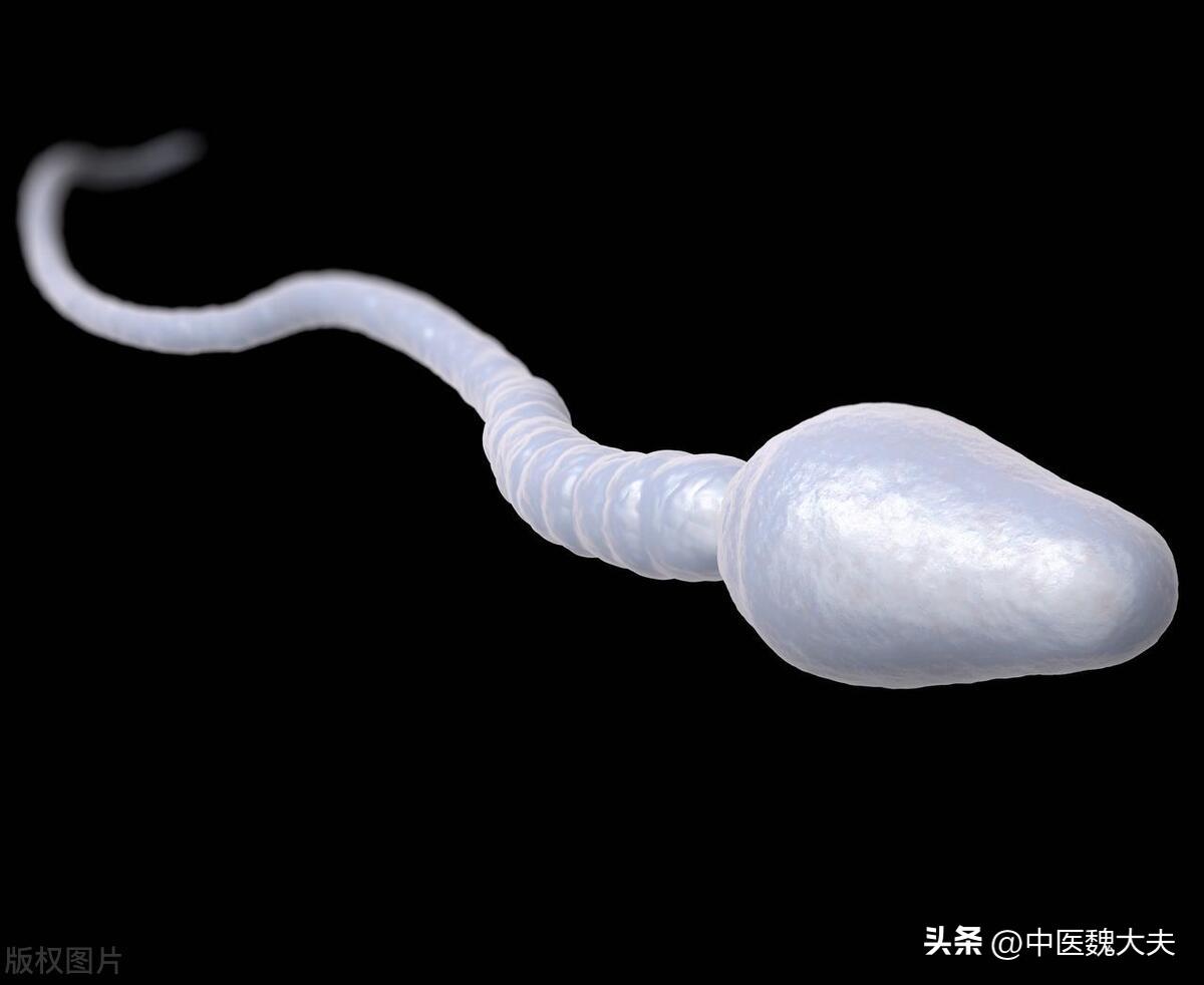 为何很多男性“渴望”性生活？无非是这2个原因，女性也不必害怕